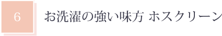 お洗濯の強い味方 ホスクリーン